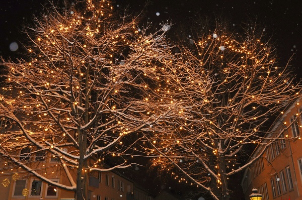 Winterimpressionen   053.jpg